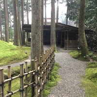 Medium_1 087